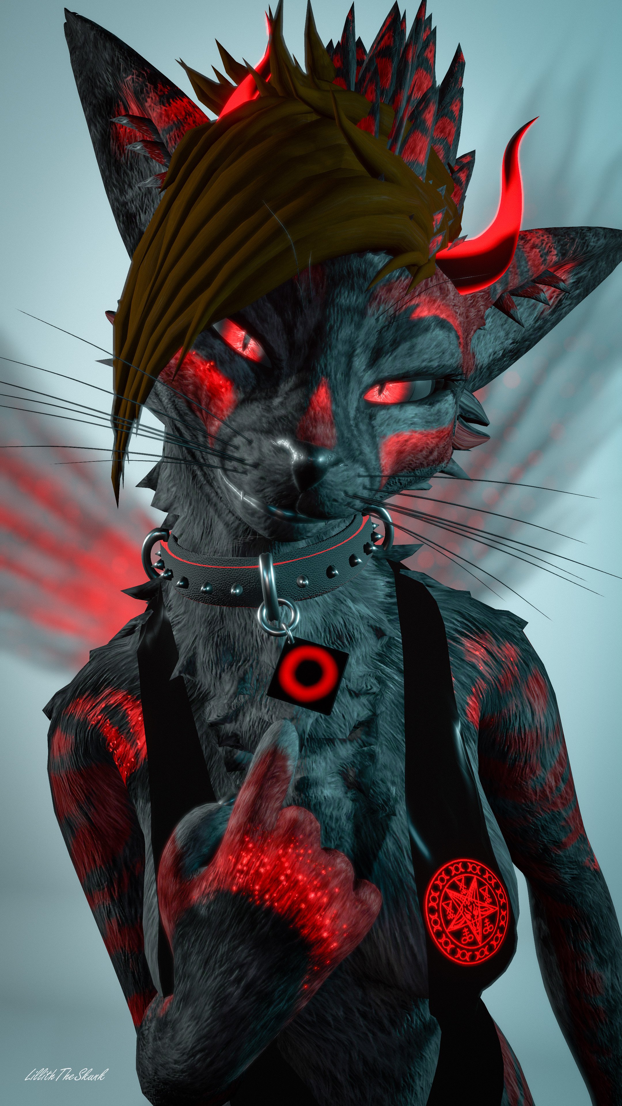 Collar With Tag