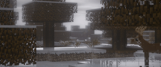 Banner Background