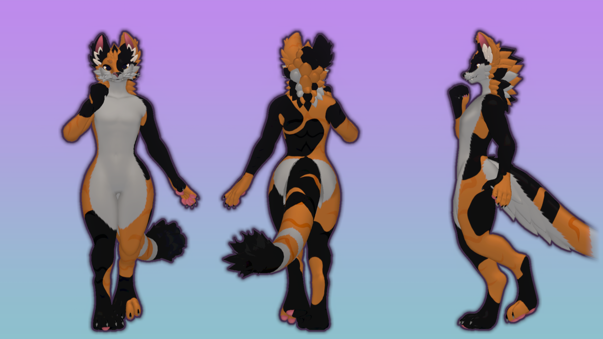 Calico Cat Druffle Texture