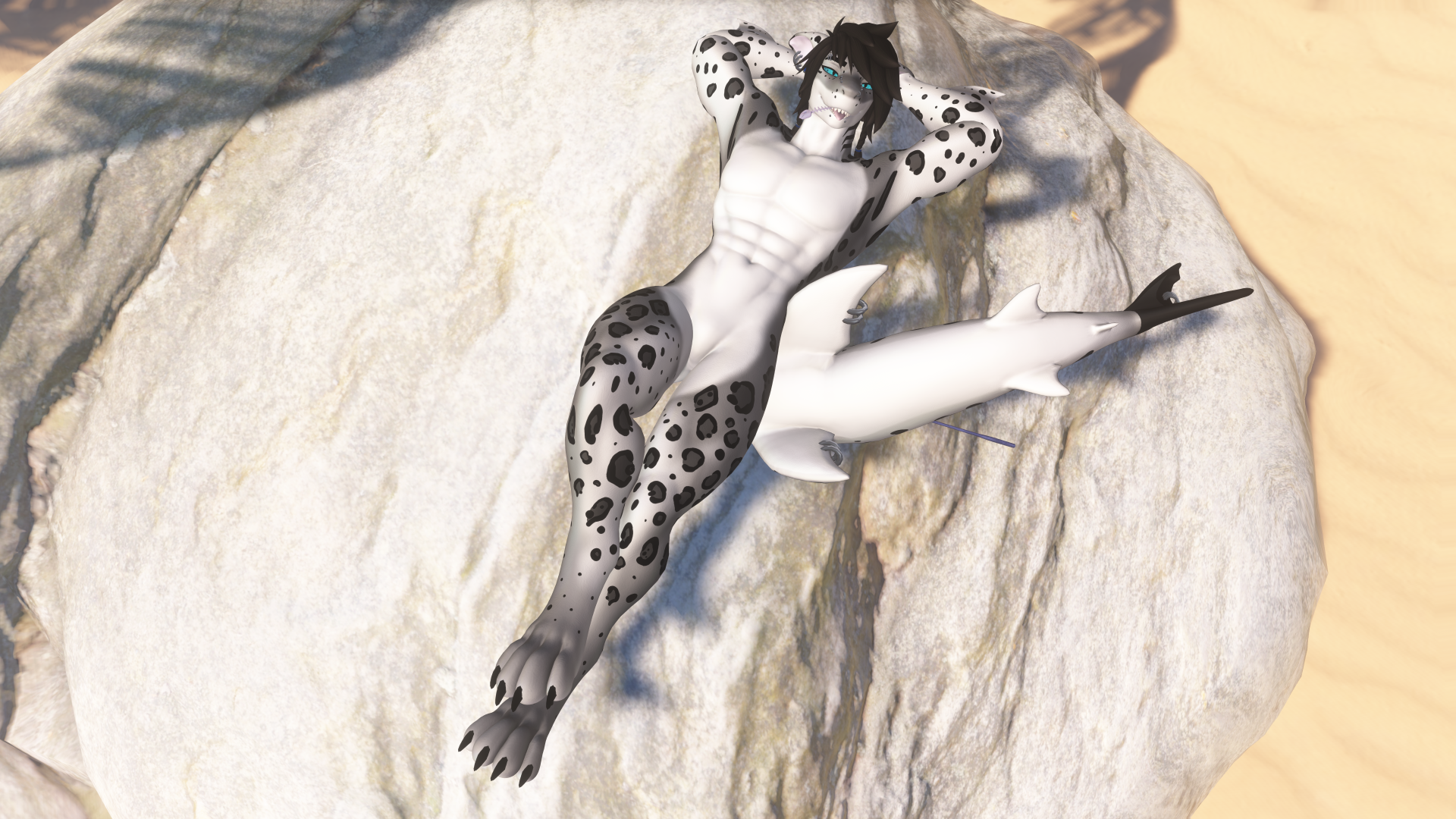(Snow) Leopard Shark - Shawn the Shark