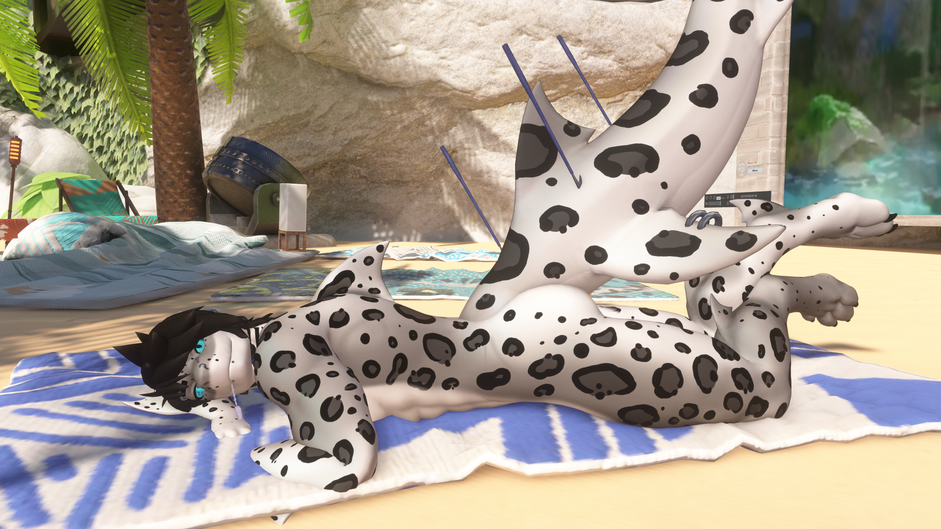 (Snow) Leopard Shark - Shawn the Shark