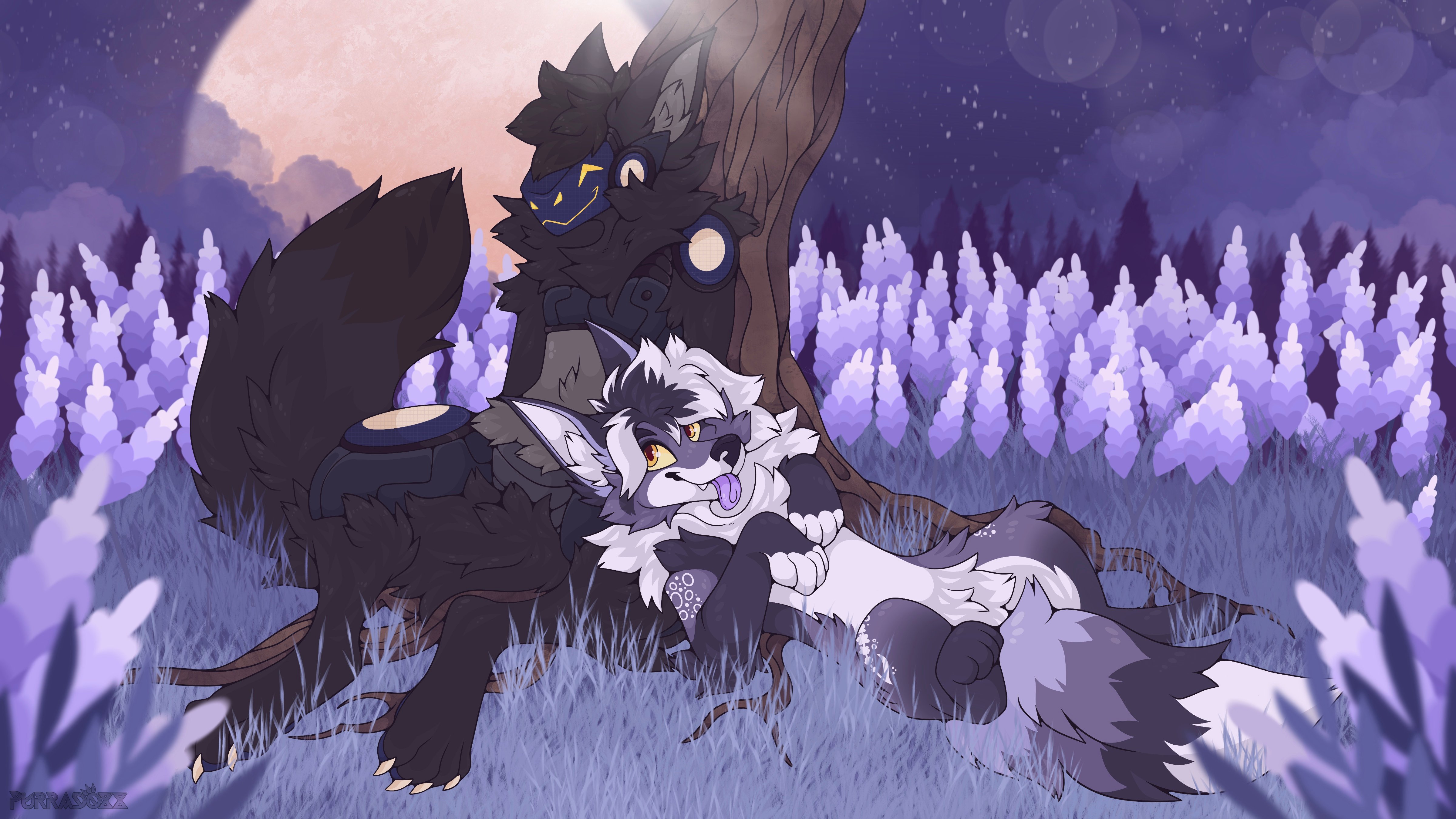Banner Background