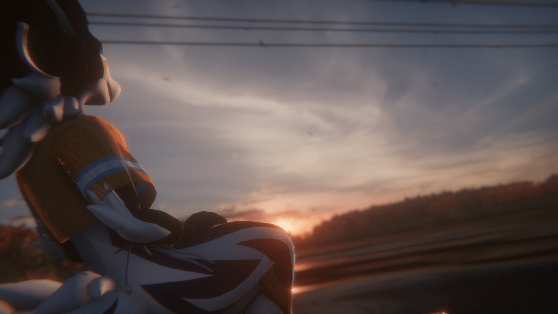 Banner Background