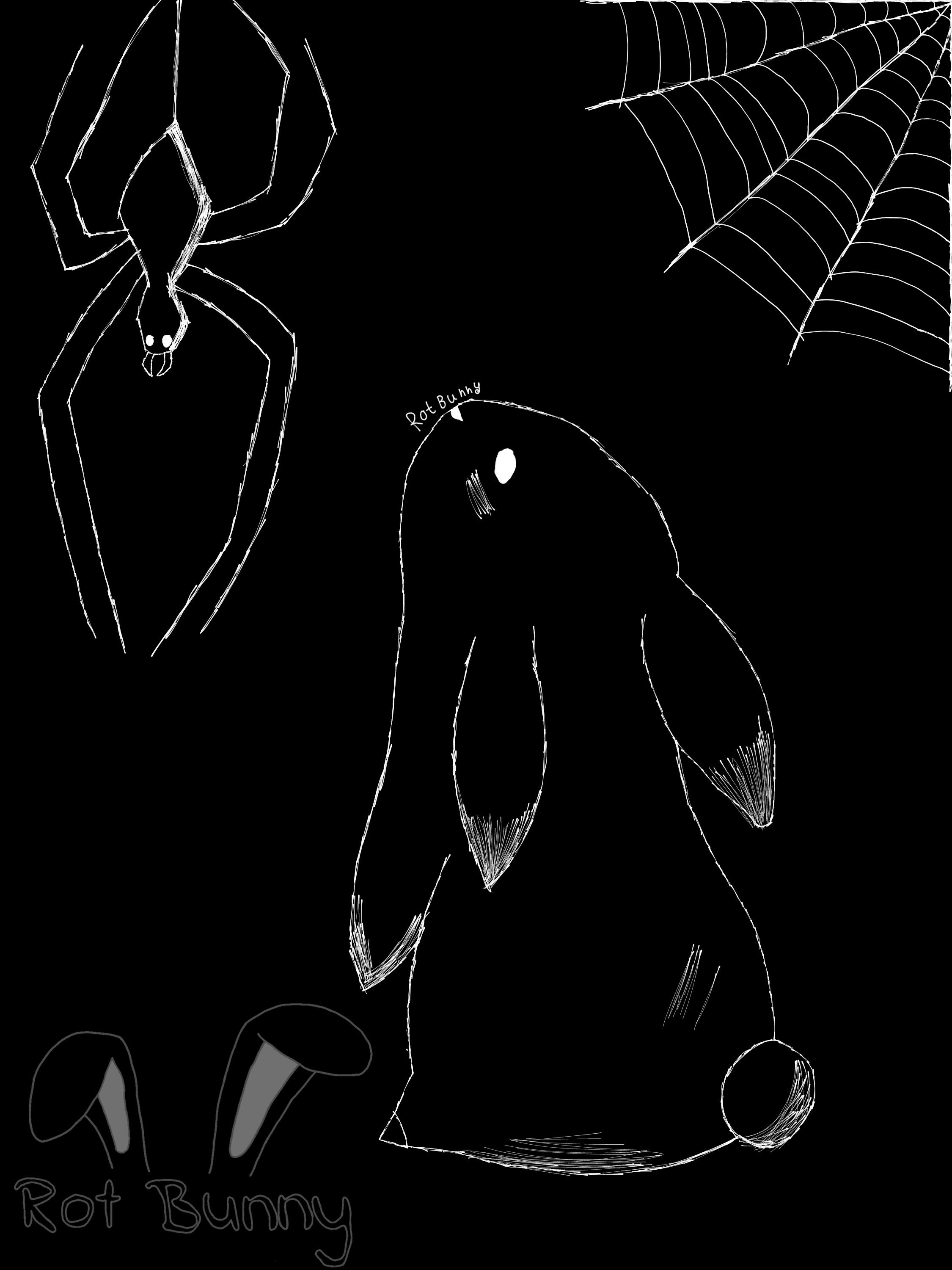 Banner Background