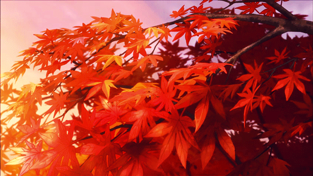 Banner Background