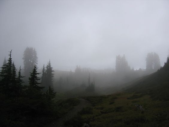 Banner Background