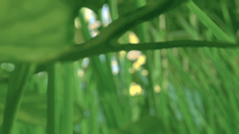 Novaray (Novabeast) Texture