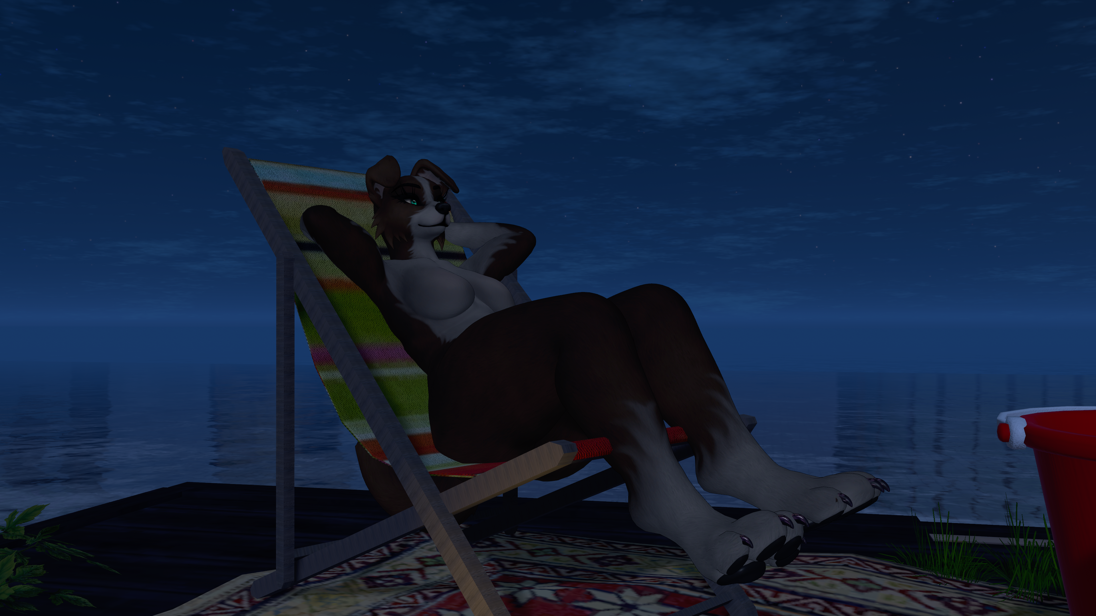 Border Collie Honey Texture