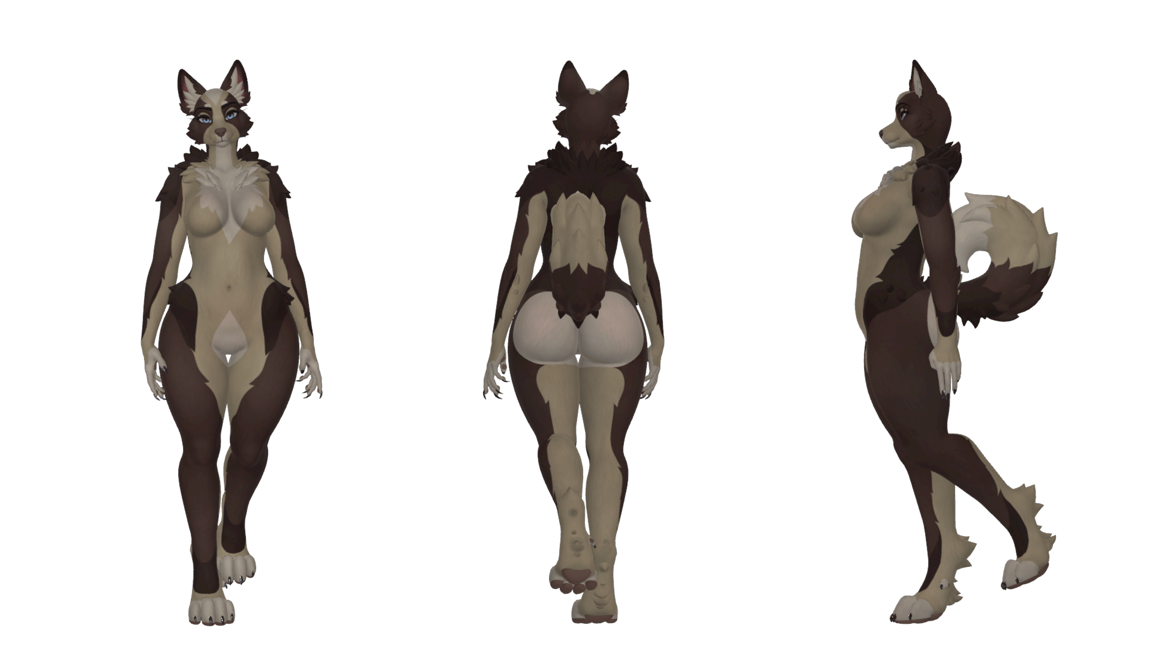 Collie Roxy Texture