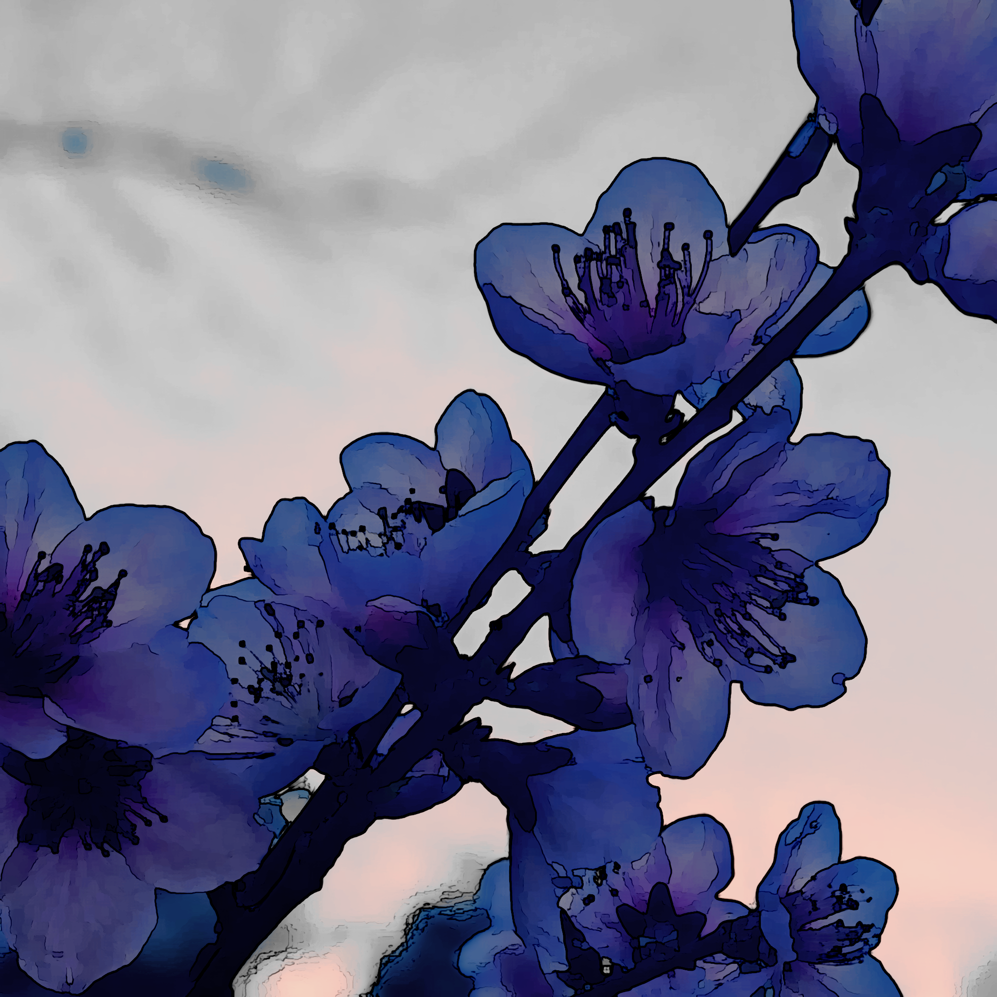 Banner Background