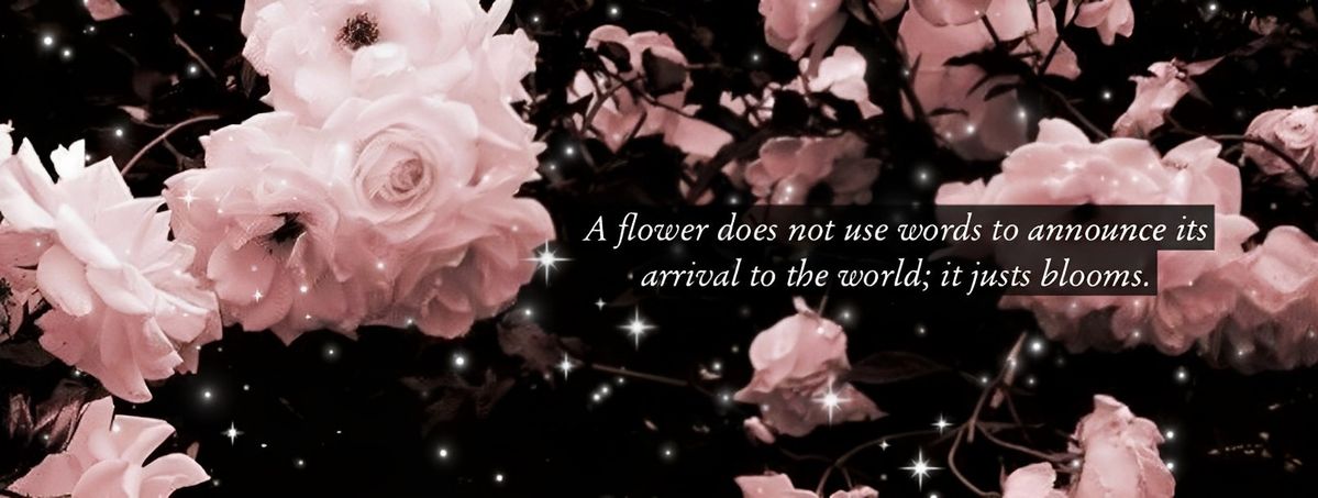 Banner Background