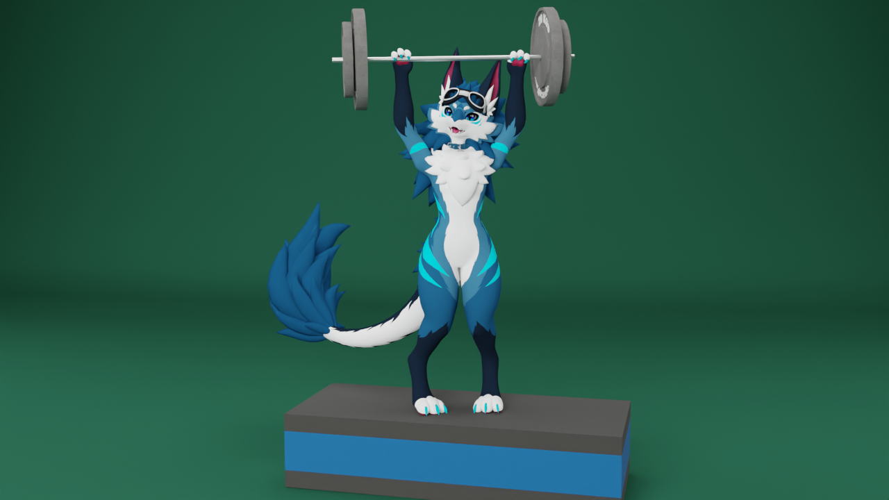 Gym Weight Pack