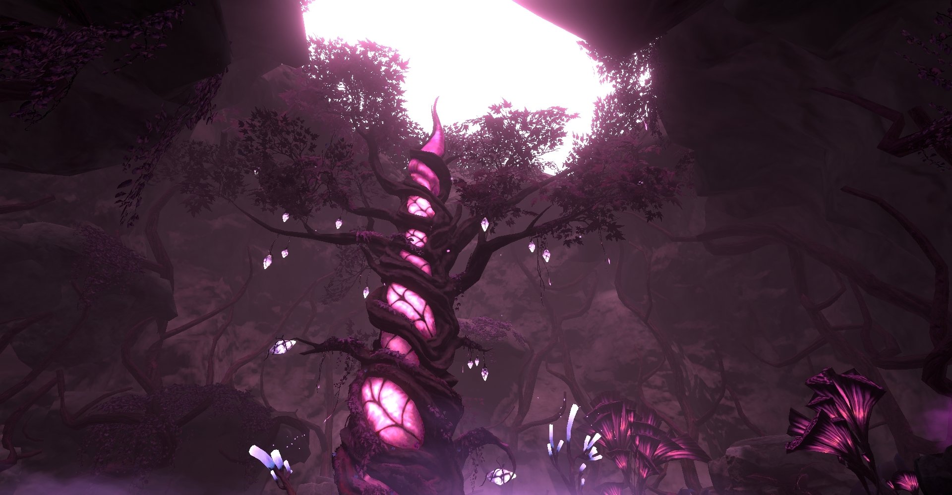 Banner Background