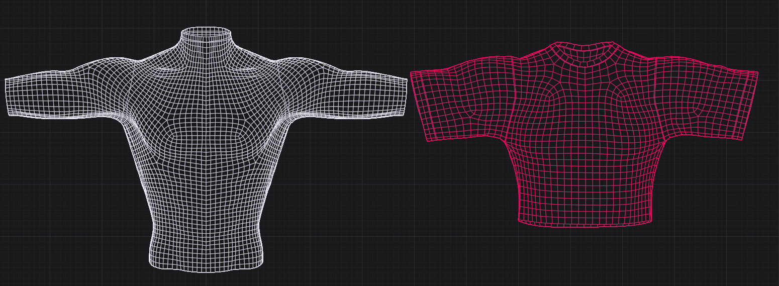 crop tee & fishnets/compression