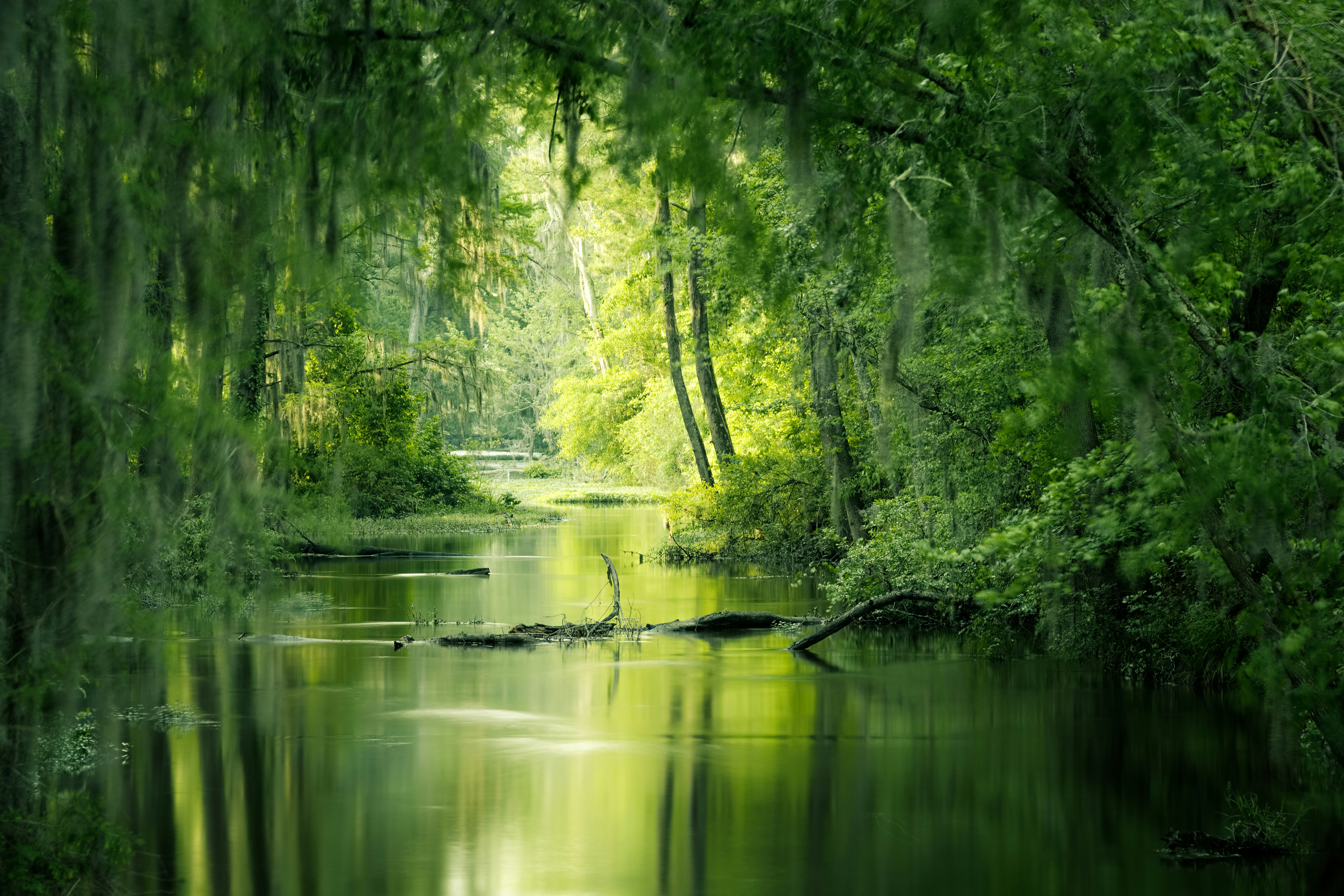 Banner Background