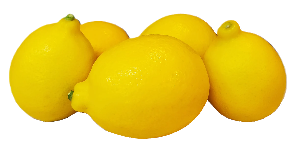 배너 배경