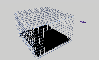 Cage and Remote