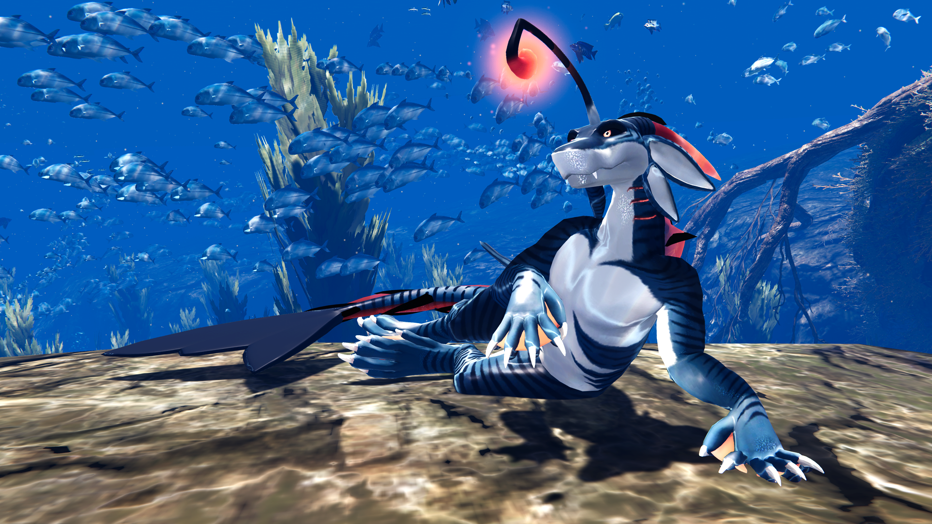 4PAW - Aqua Pack - Feral Dolphin Shark Dragon