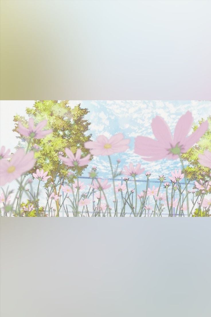 Banner Background