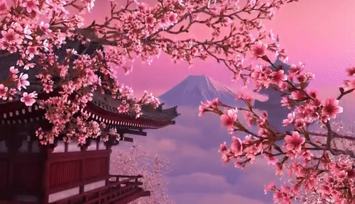 Banner Background