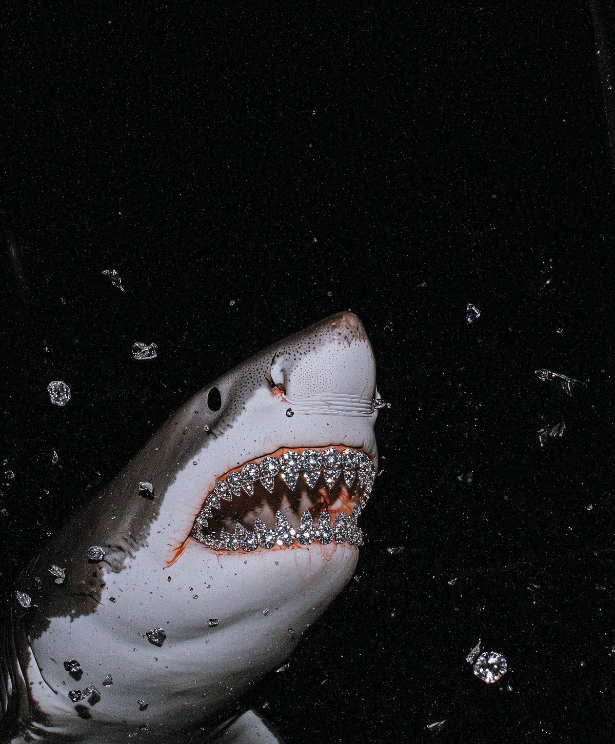 Banner Background