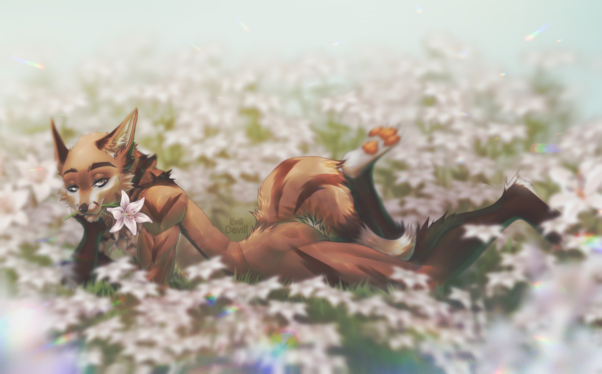Banner Background