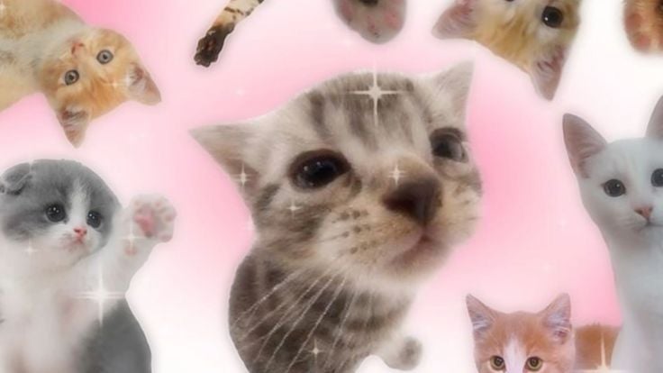 Banner Background