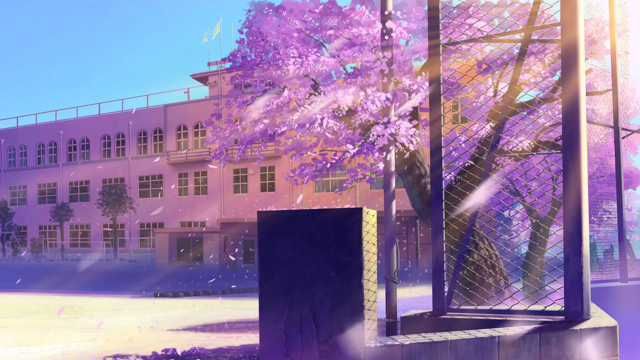 Banner Background
