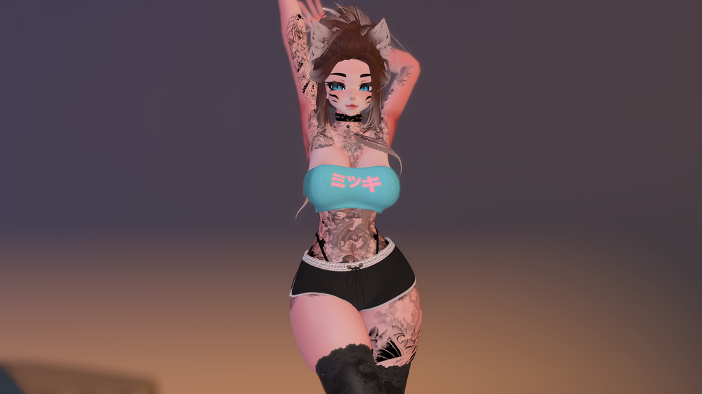Mitsuki (PC, ARKit VRCFT, GoGo Loco)