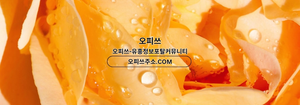 배너 배경