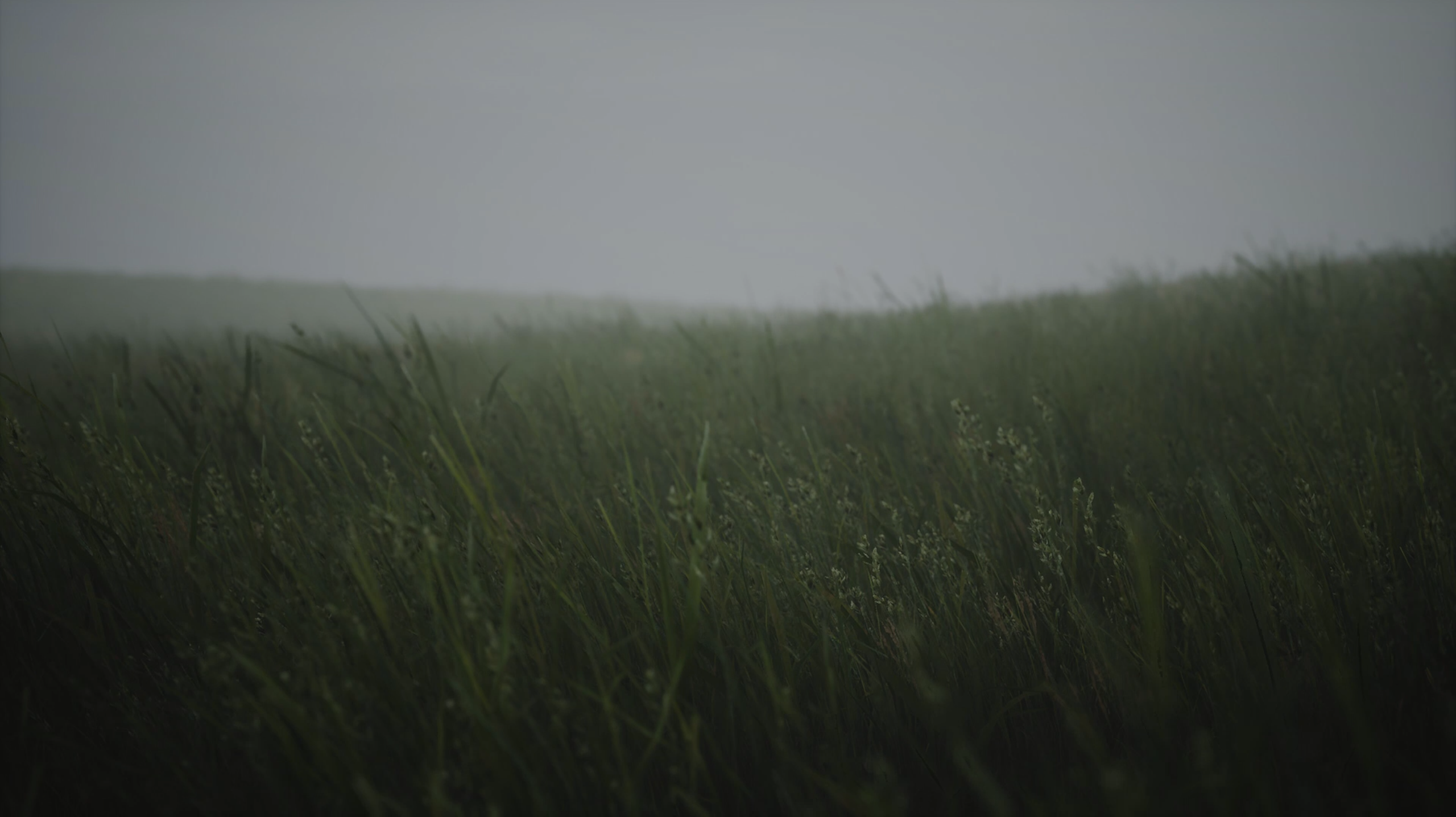 Banner Background