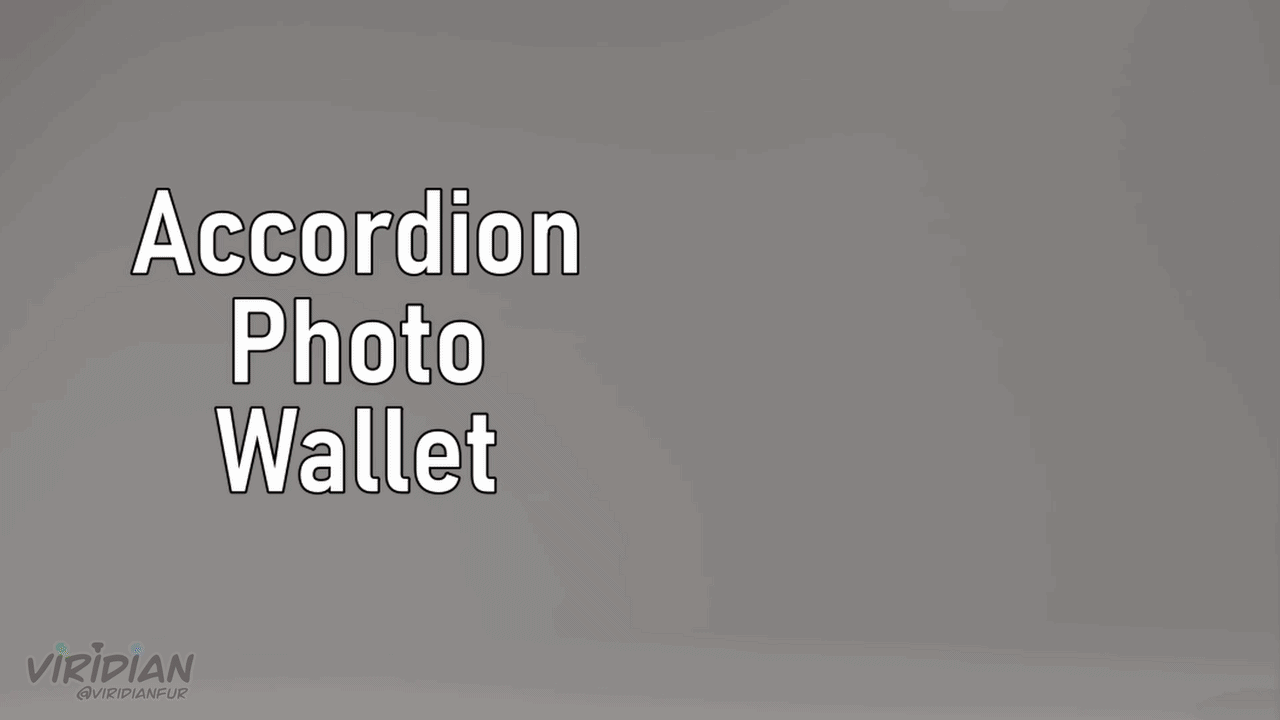 Accordion Photo Wallet