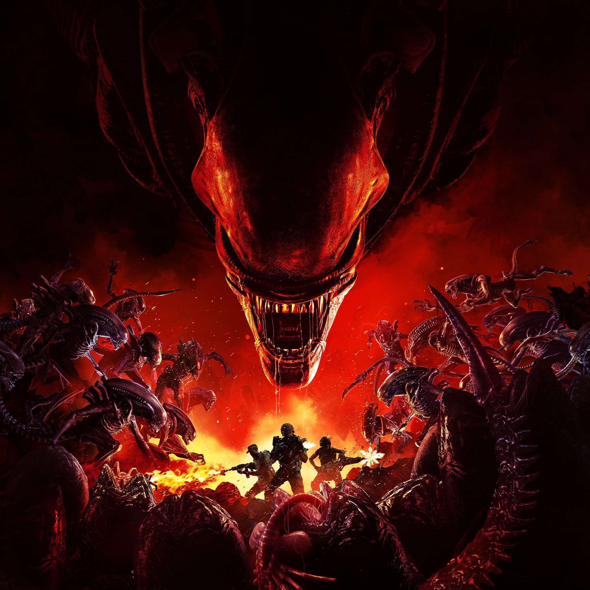 Banner Background