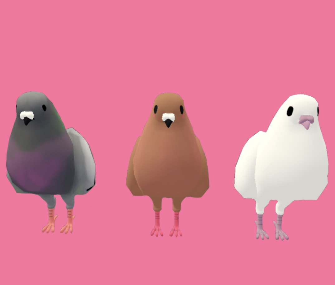 Pigeon
