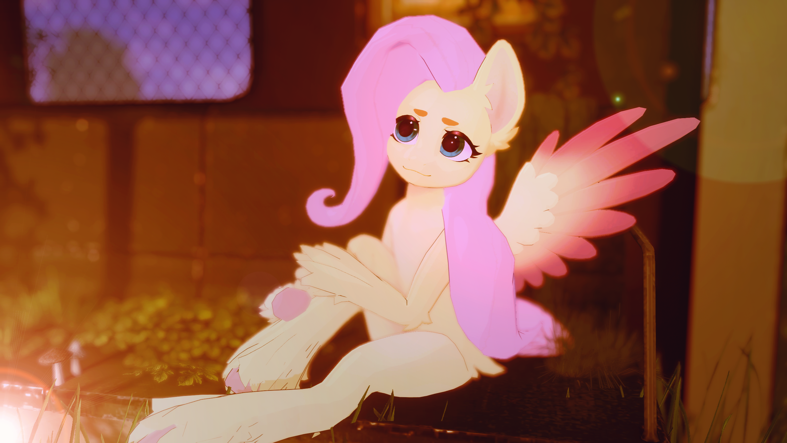 Flying ShyPony Set for Mayoneigh