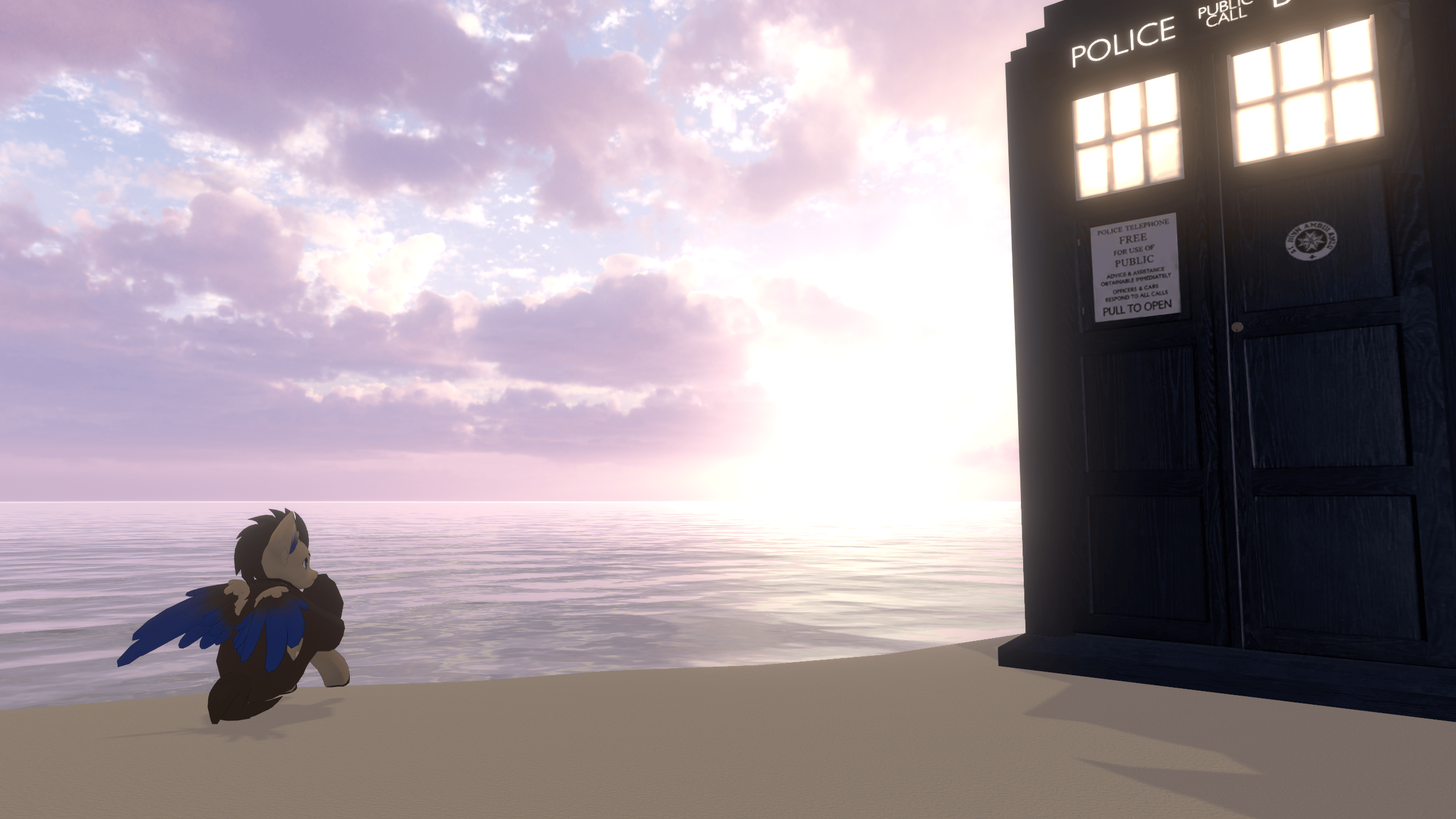 Renegade Timelord Set for Mayoneigh