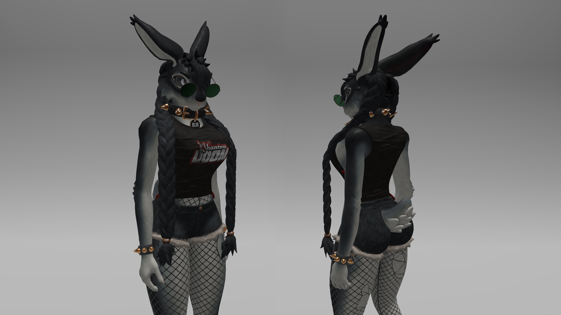 Braided Hair Pack