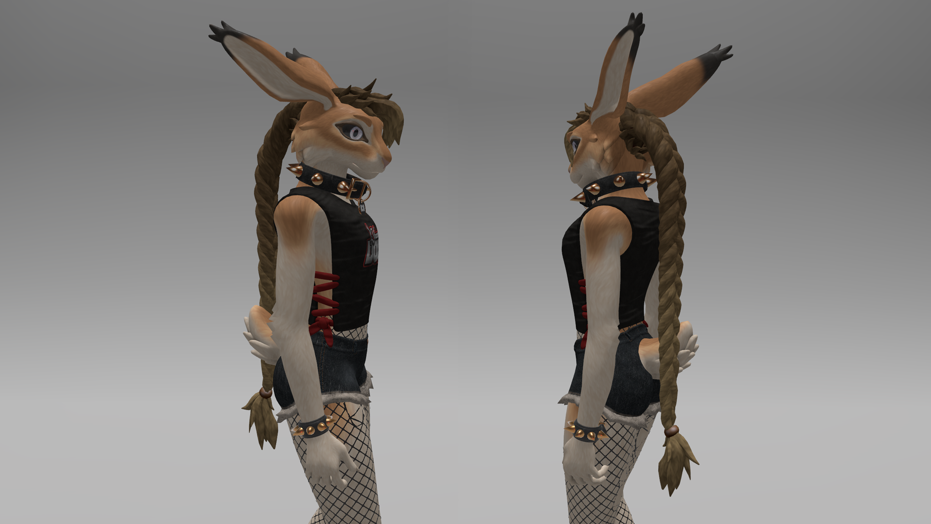 Braided Hair Pack