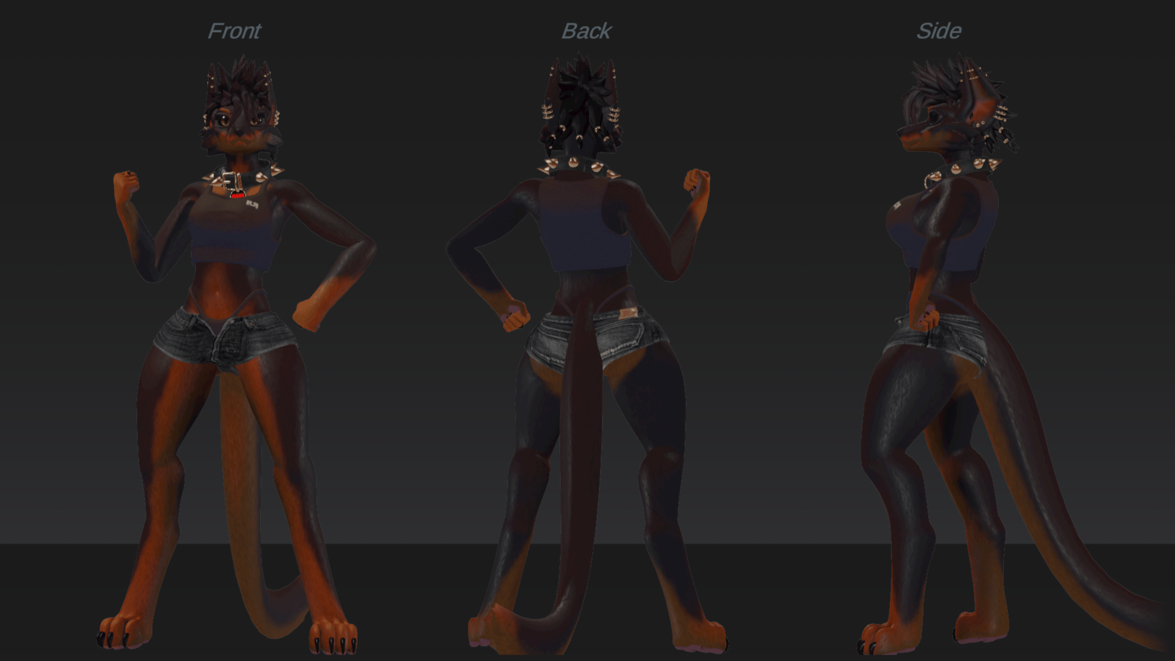Lyvern Doberman texture