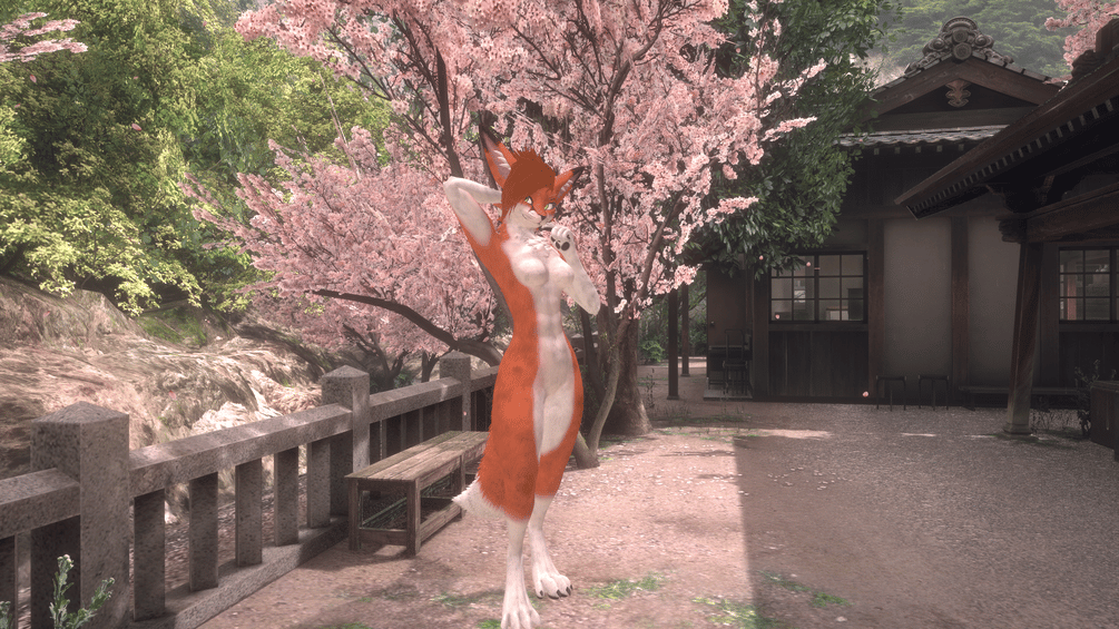 Spring Fox