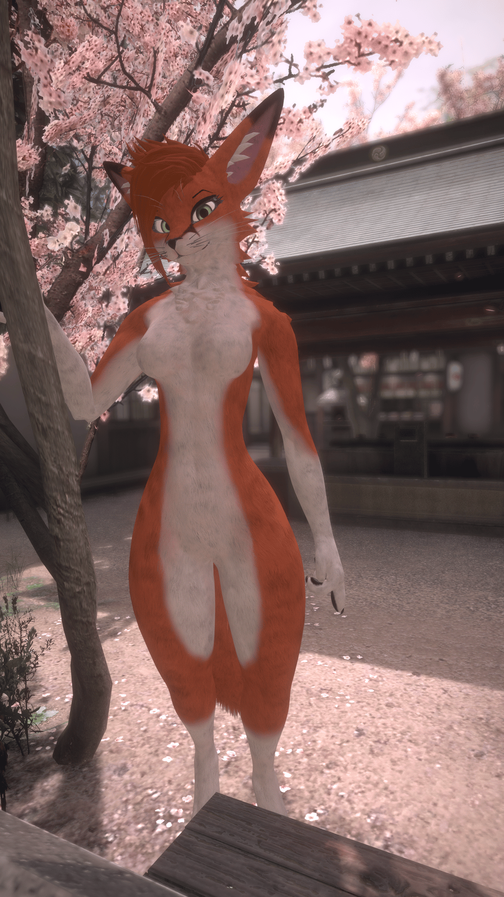 Spring Fox