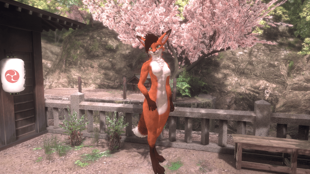 Spring Fox
