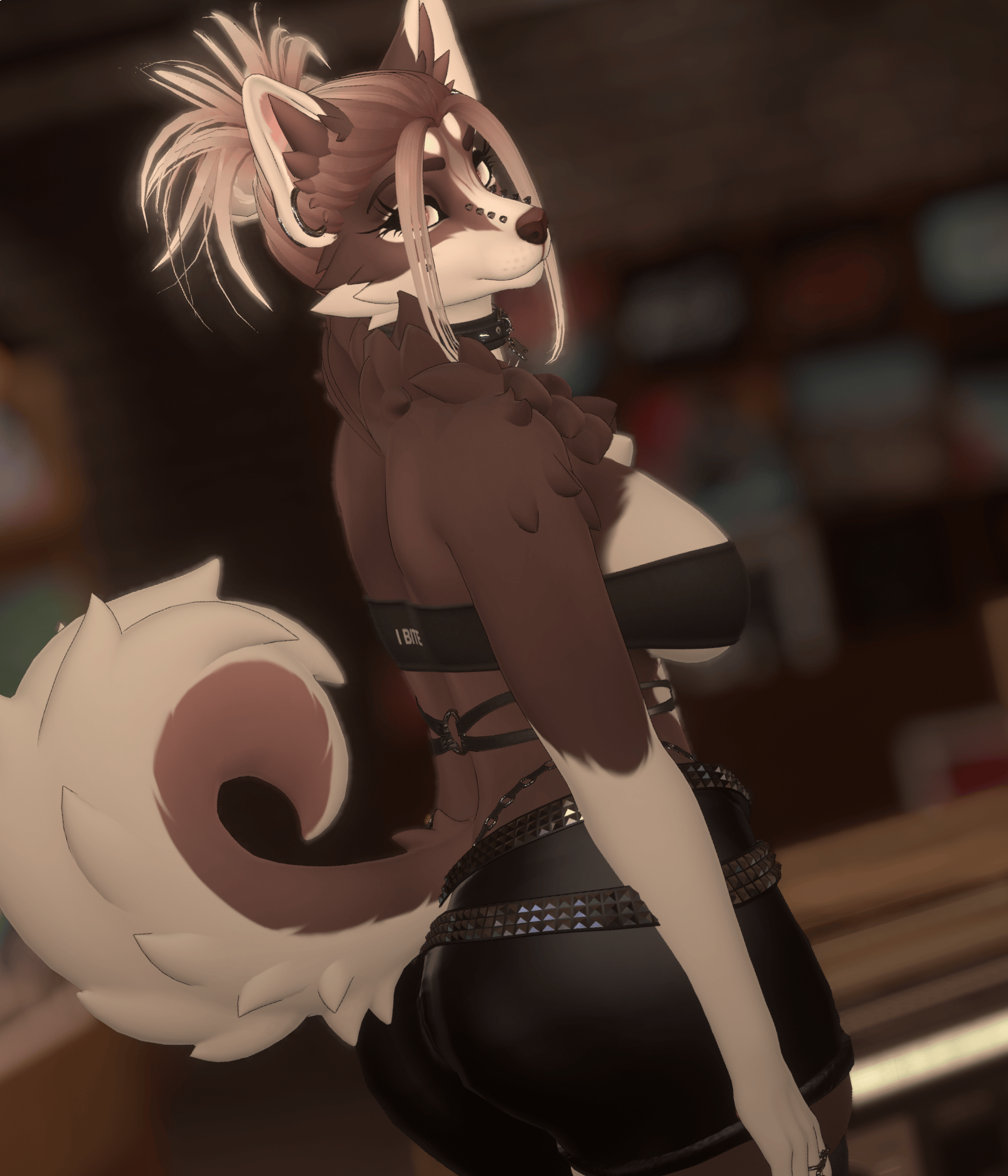 Brown Husky - Roxy