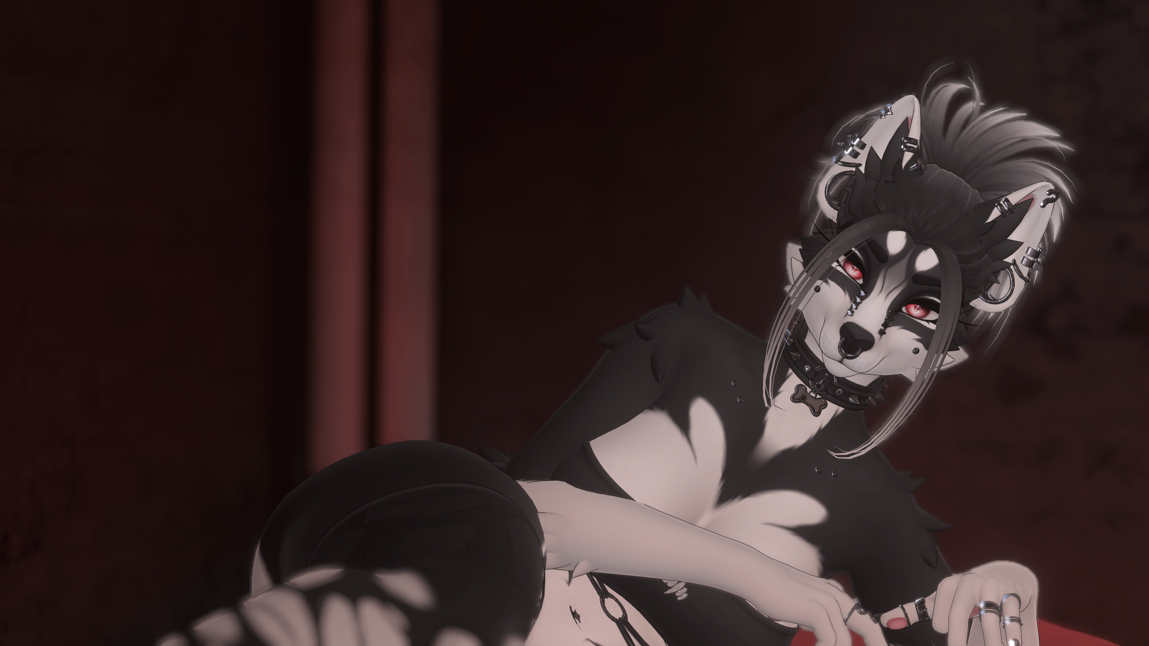 Black Husky - Roxy