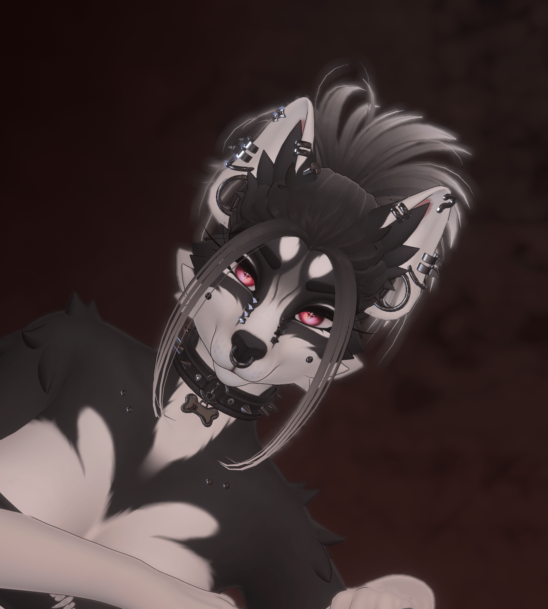 Black Husky - Roxy