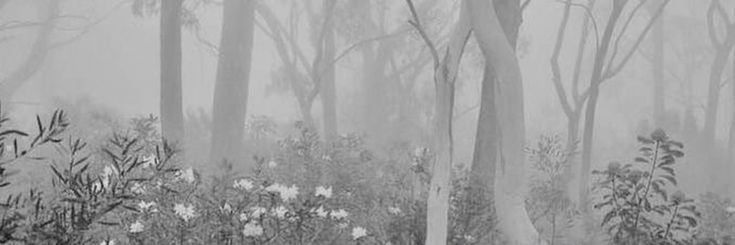 Banner Background