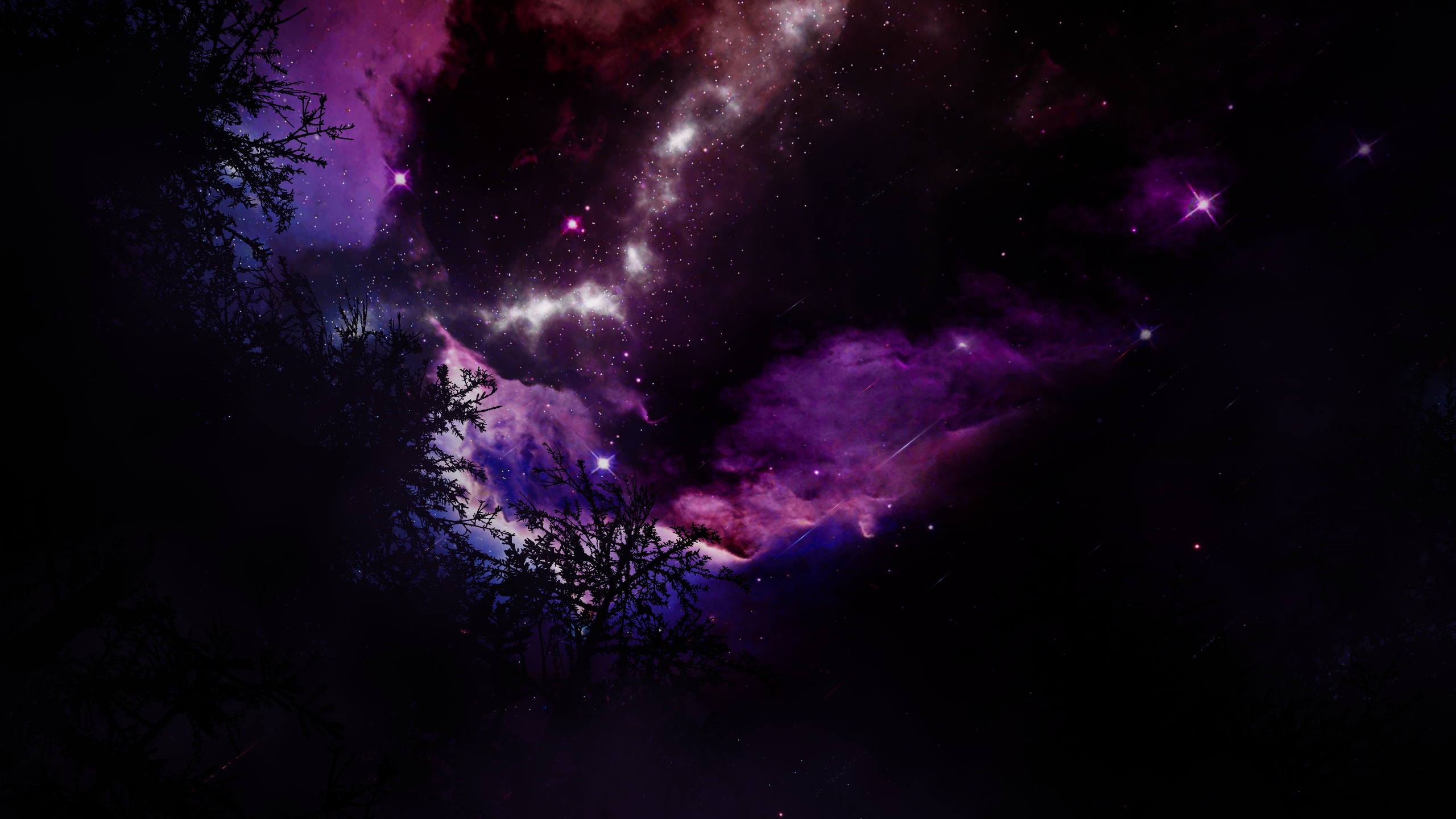 Banner Background