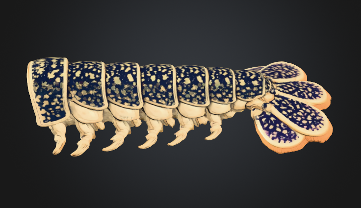 Lobster Tail