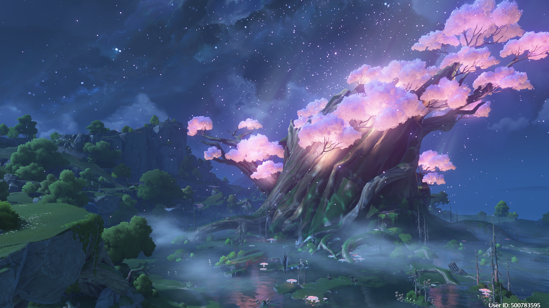Banner Background