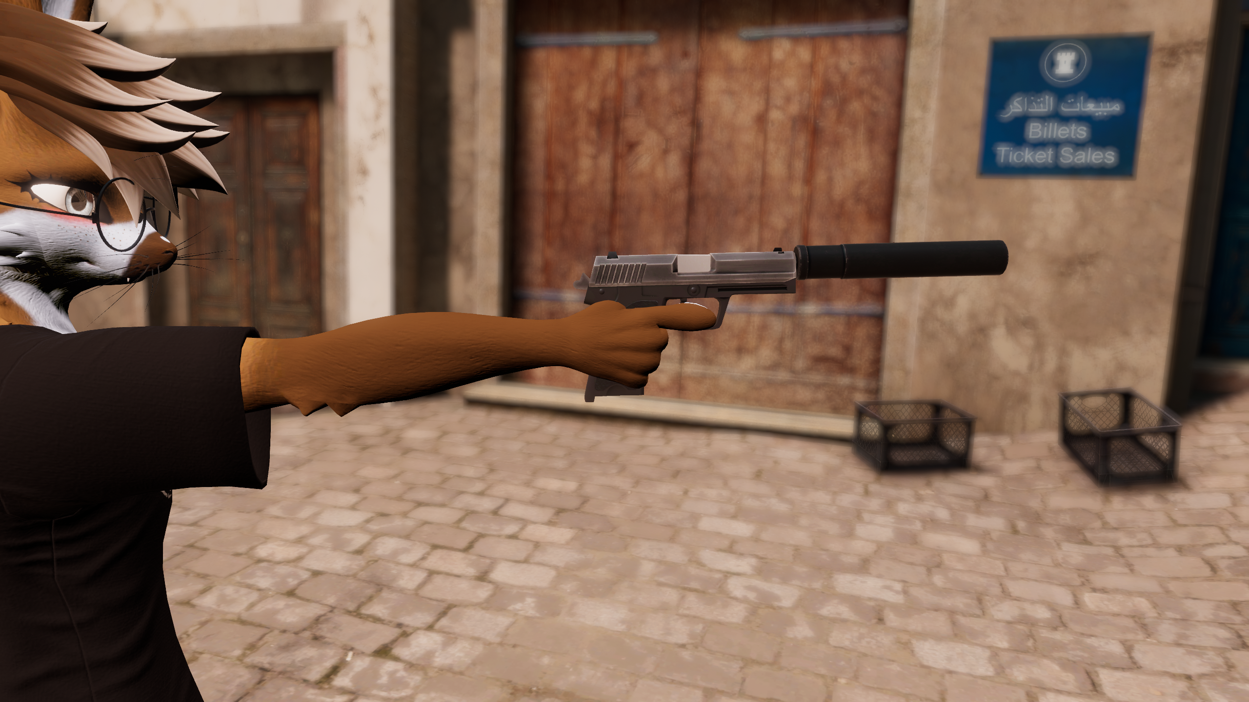 USP Handgun